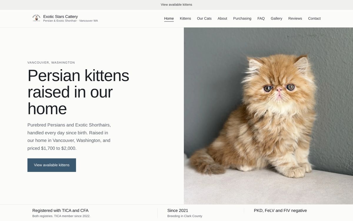 The Exotic Stars Cattery home page. A large photograph of a cream Persian kitten sits beside the heading Persian kittens raised in our home, with the town and the price range in the first paragraph.