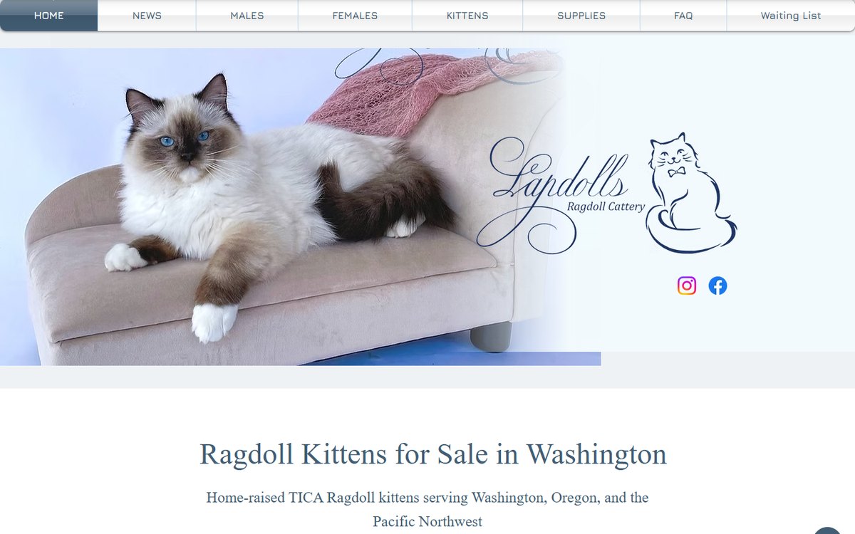 The Lapdolls Ragdoll Cattery home page as it was on Wix. A wide photograph of a Ragdoll cat on a sofa fills the top of the page, with the cattery name in script lettering across it.