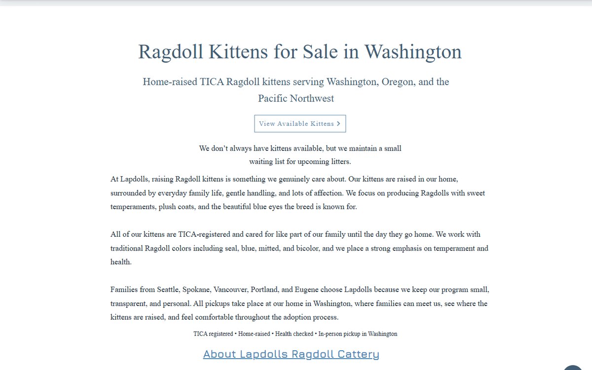 The second screen of the old Wix home page. Three paragraphs of centered text, and above them the line We don't always have kittens available, but we maintain a small waiting list for upcoming litters.