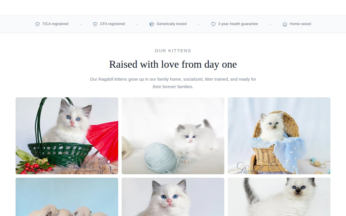 The second screen of the home page now. A row reading TICA registered, CFA registered, genetically tested, three-year health guarantee and home-raised, above a heading Raised with love from day one and a grid of kitten photographs.